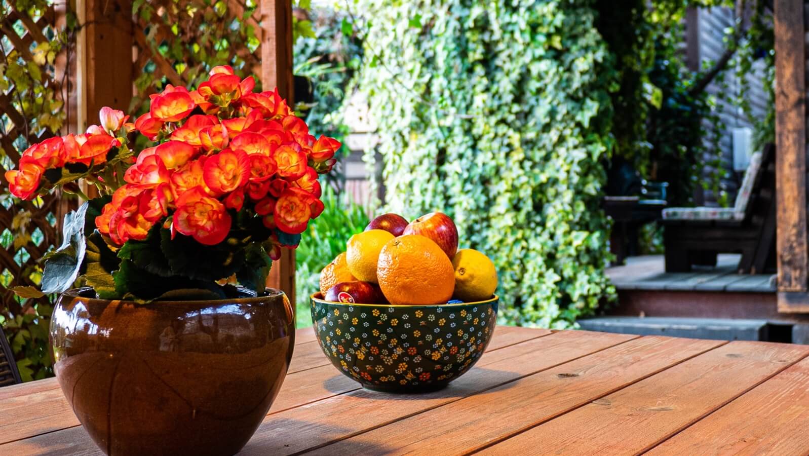 תמונה של הבקתות - 7