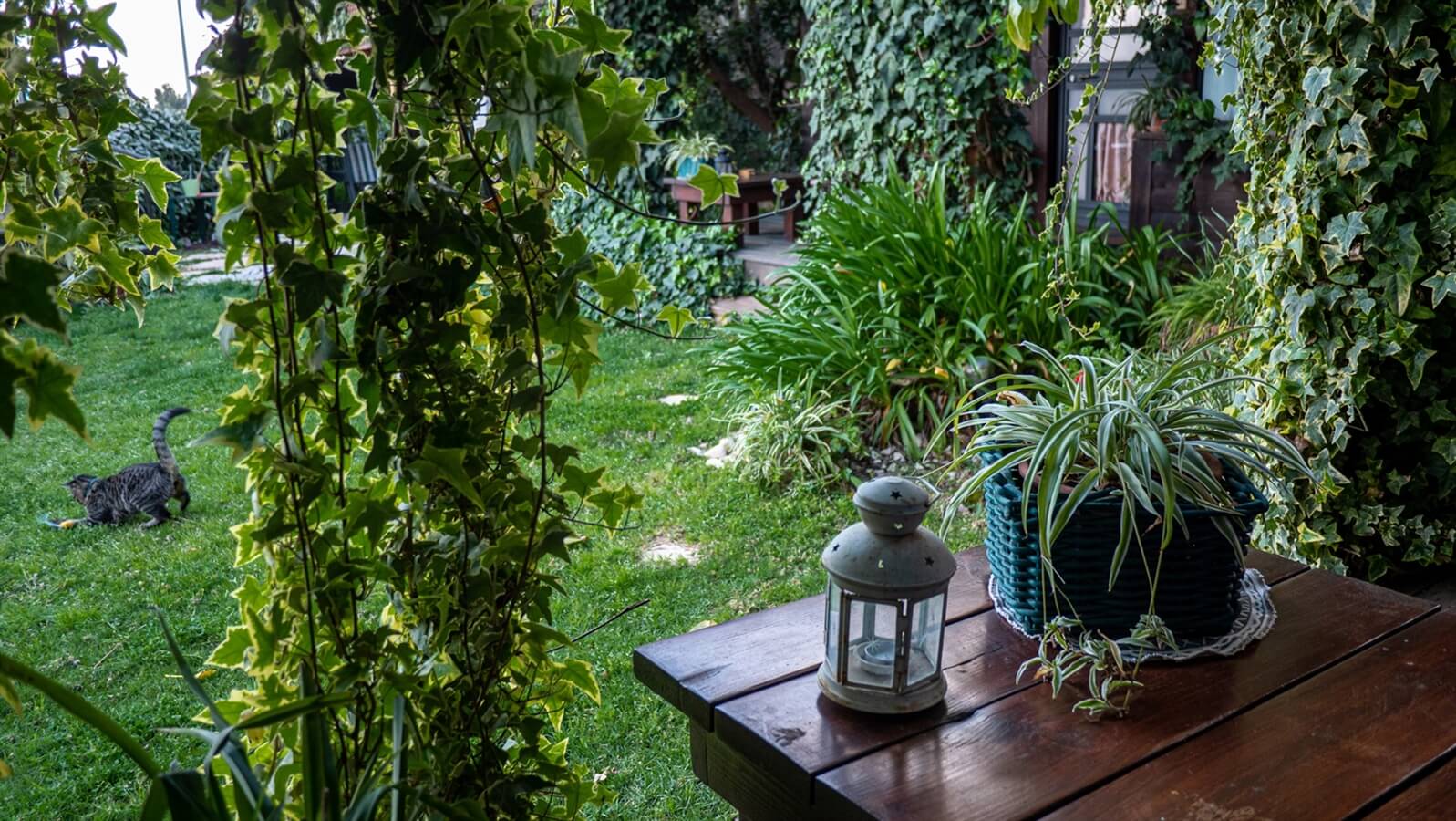 תמונה של הבקתות - 5