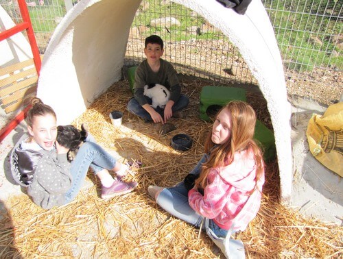 תמונה של החיות ופינות להיטוף