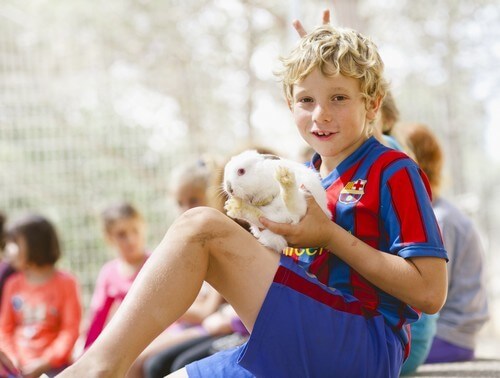 תמונה של החיות ופינות להיטוף תמונה של החיות ופינות להיטוף