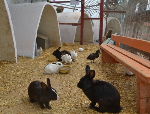 תמונה שצולמה בחי טל - קיבוץ אורטל - 4 תמונה של חי טל - קיבוץ אורטל - 4