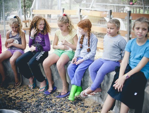 תמונה של החיות ופינות להיטוף תמונה של החיות ופינות להיטוף