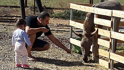 תמונה של פינת החי תמונה של פינת החי