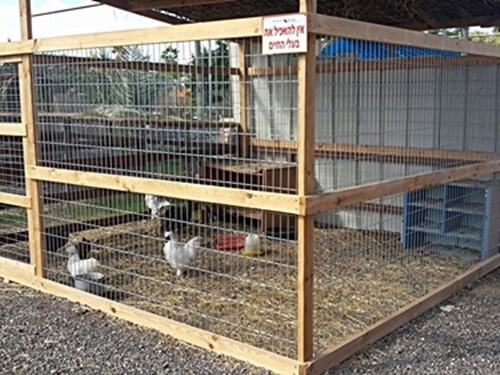 תמונה שצולמה בחוות יעל - 5 תמונה של חוות יעל - 5