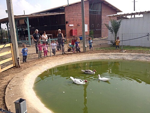 תמונה שצולמה בחוות יעל - 1 תמונה של חוות יעל - 1