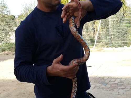 תמונה של פינת החי תמונה של פינת החי