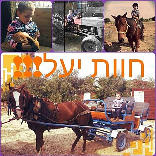 תמונה שצולמה בחוות יעל - 3 תמונה של חוות יעל - 3
