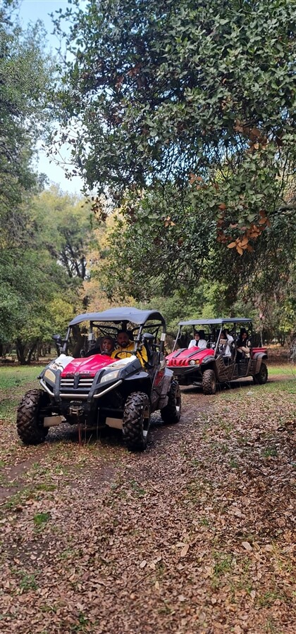 תמונה שצולמה בטיולי באגי בחרמון - Road Up - 4 תמונה של טיולי באגי בחרמון - Road Up - 4