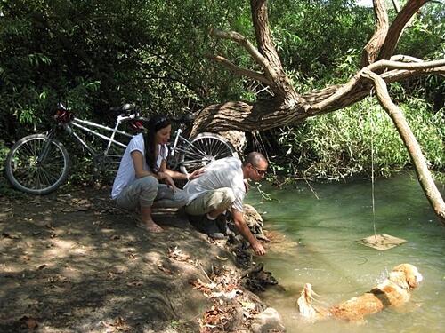 תמונה של טיולי האופניים