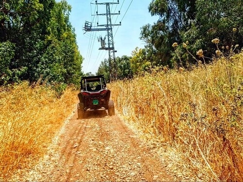 תמונה של טיולי רייזר