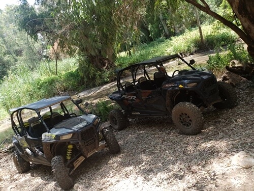 תמונה של טיולי רייזר