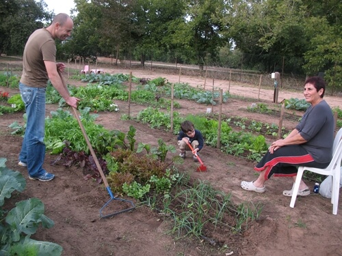 תמונה של פעילויות החווה