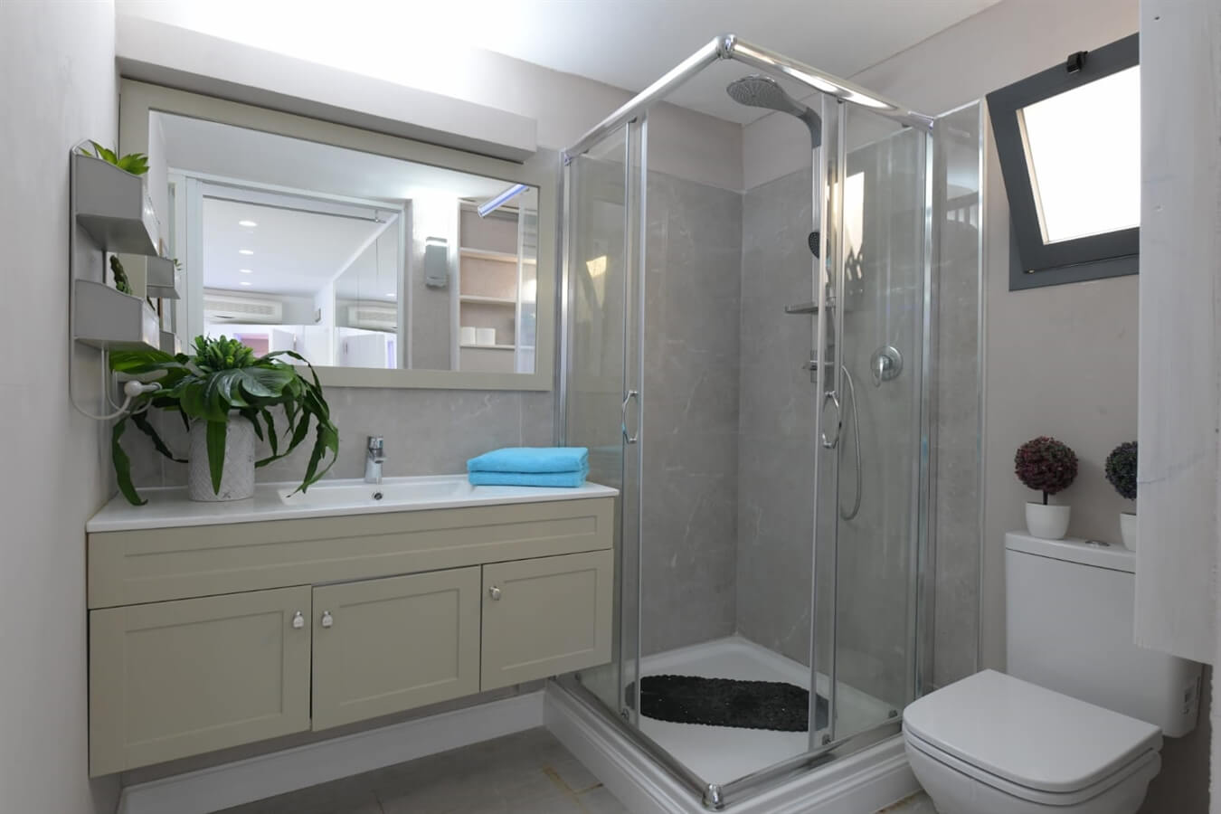 תמונה של זאוס - 11