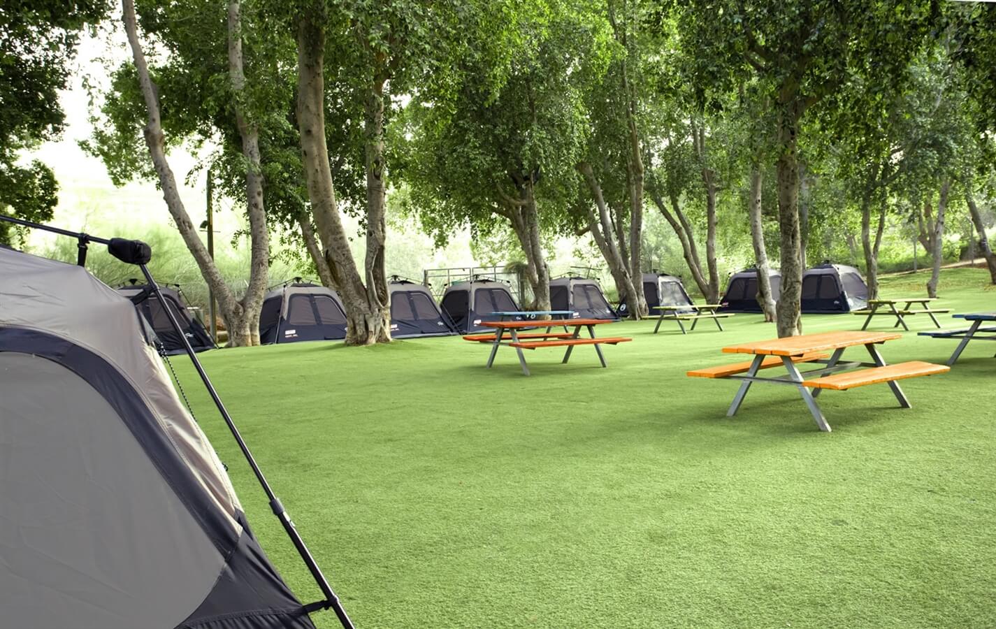 תמונה של סוגי האוהלים - 8