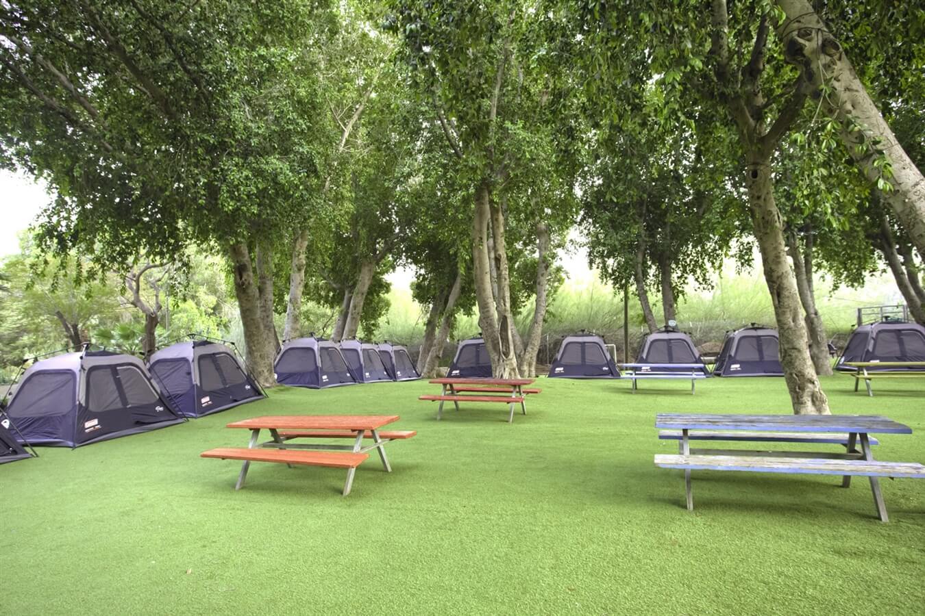 תמונה של סוגי האוהלים - 5