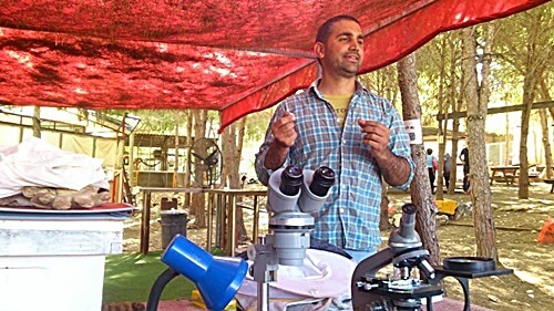 תמונה של סדנאות דבורים