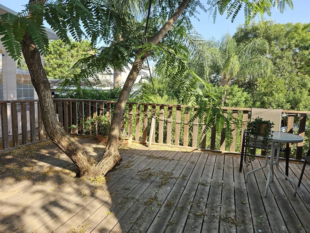 תמונה של הבקתה - 9