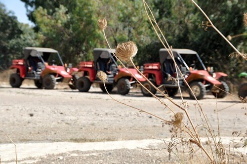 תמונה של טיולי תומקארים