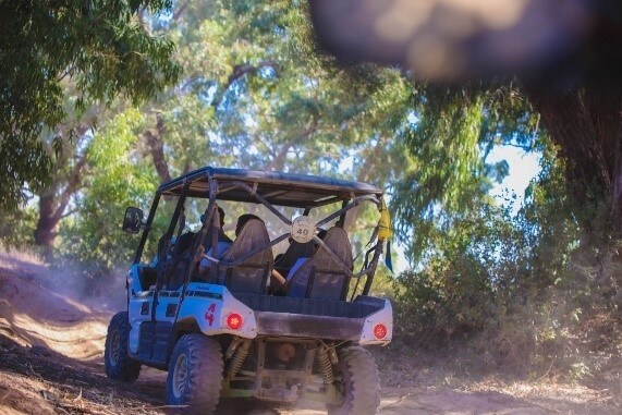 תמונה של טיולי טרקטורונים