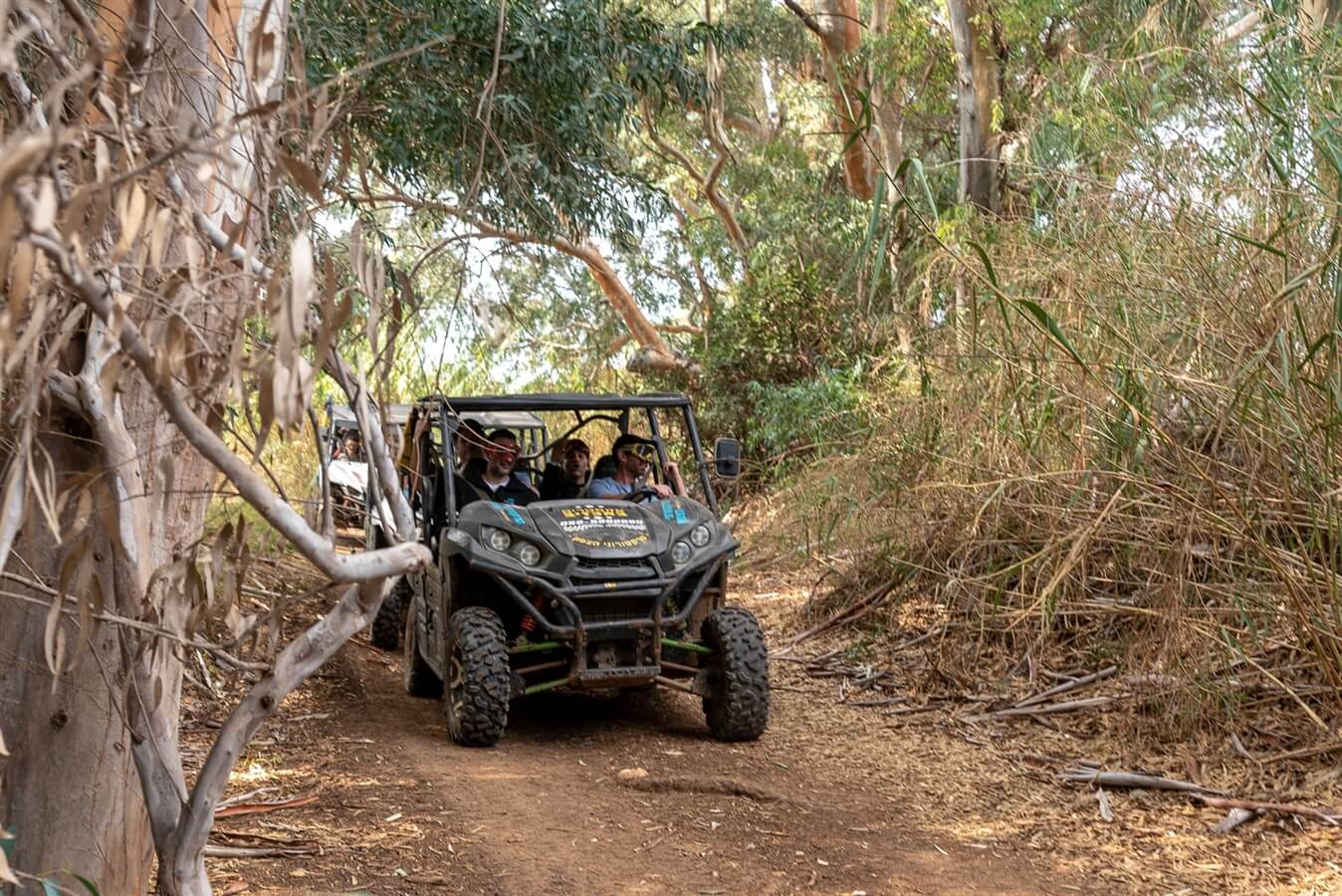 תמונה של טיולי טרקטורונים
