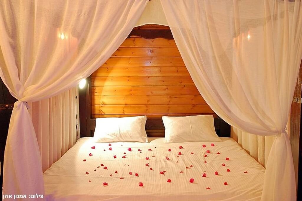 תמונה של בקתות העץ - 2 תמונה של בקתות העץ - 2