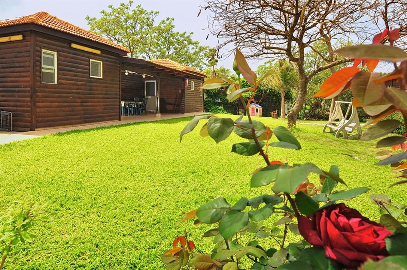 תמונה שצולמה בבוסתן יווני - 1 תמונה של בוסתן יווני - 1