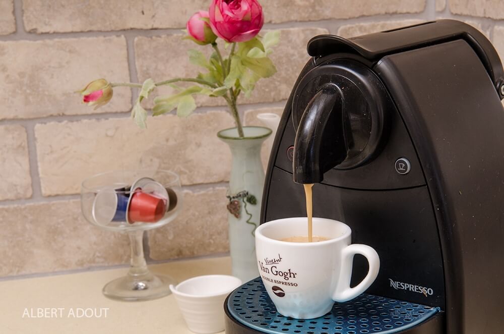 תמונה של סוויטת רקפת - 6