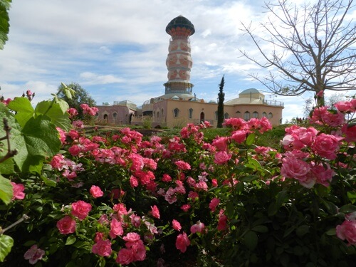 תמונה שצולמה בנאות סמדר - 1 תמונה של נאות סמדר - 1