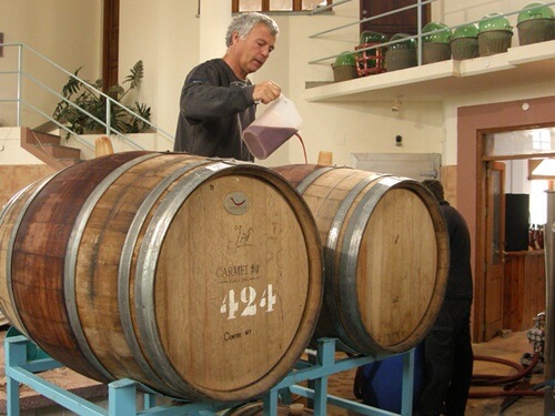 תמונה של סיורי יום תמונה של סיורי יום