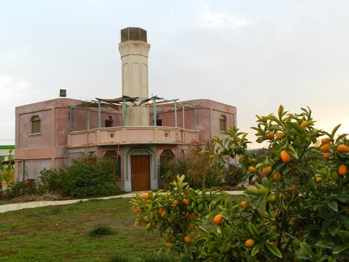 תמונה של סיורי יום תמונה של סיורי יום