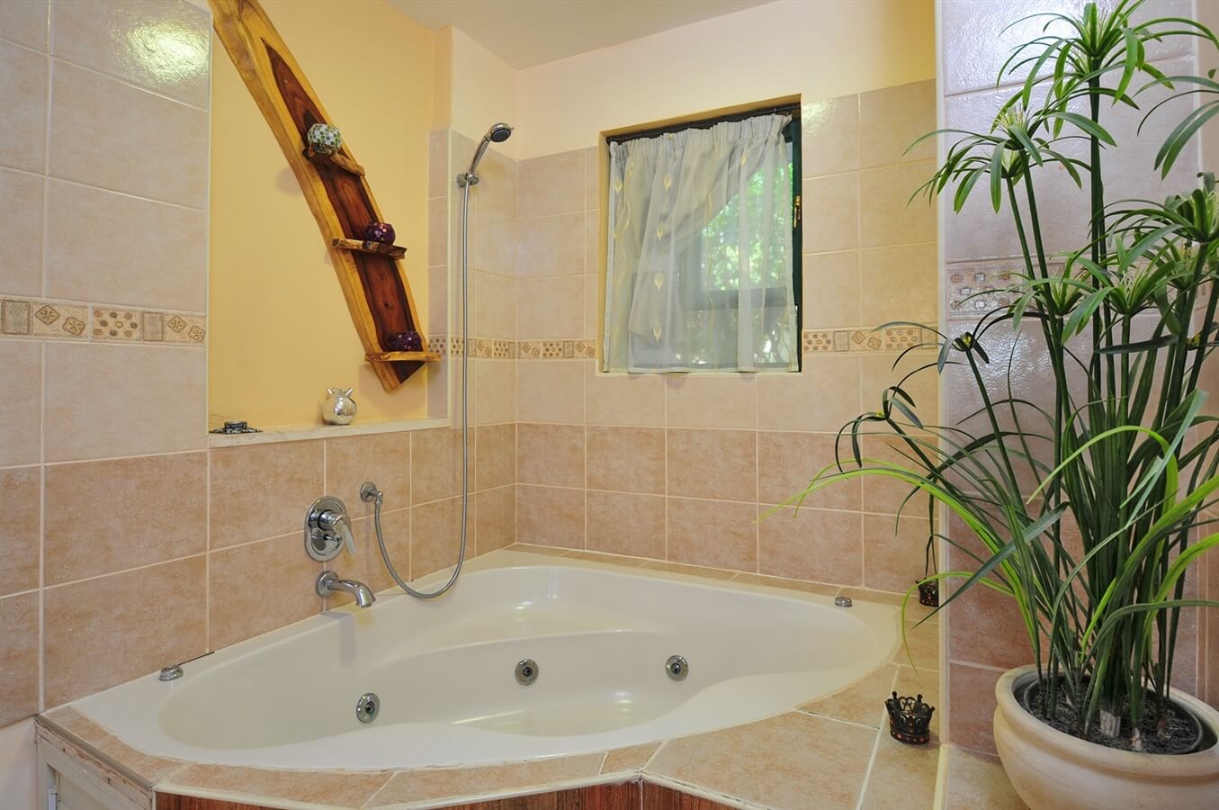 תמונה של סוויטה 1 - 8