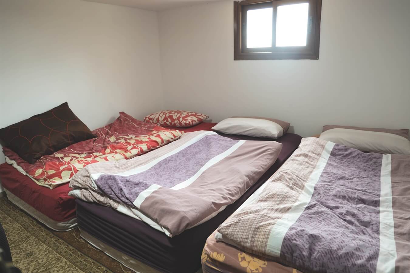 תמונה של צימר 2 - 4 תמונה של צימר 2 - 4