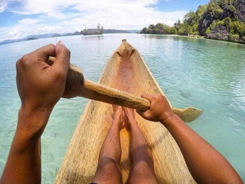 תמונה של שייט תמונה של שייט