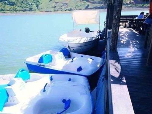 תמונה של שייט תמונה של שייט