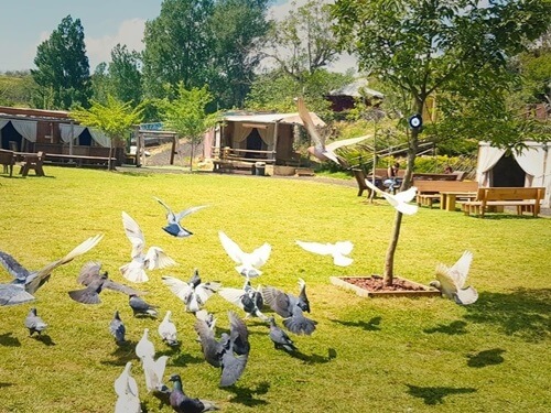 תמונה שצולמה בפארק במבוק - 2 תמונה של פארק במבוק - 2