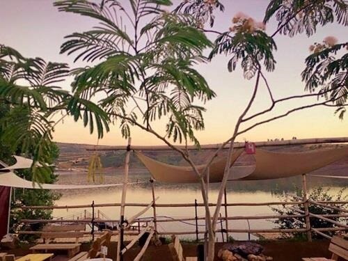 תמונה של שייט תמונה של שייט