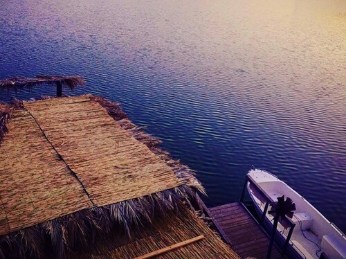 תמונה של שייט תמונה של שייט