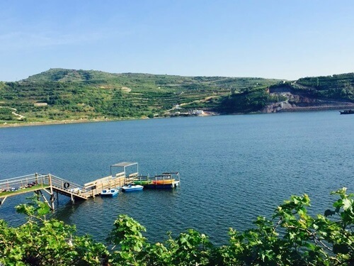 תמונה של שייט תמונה של שייט