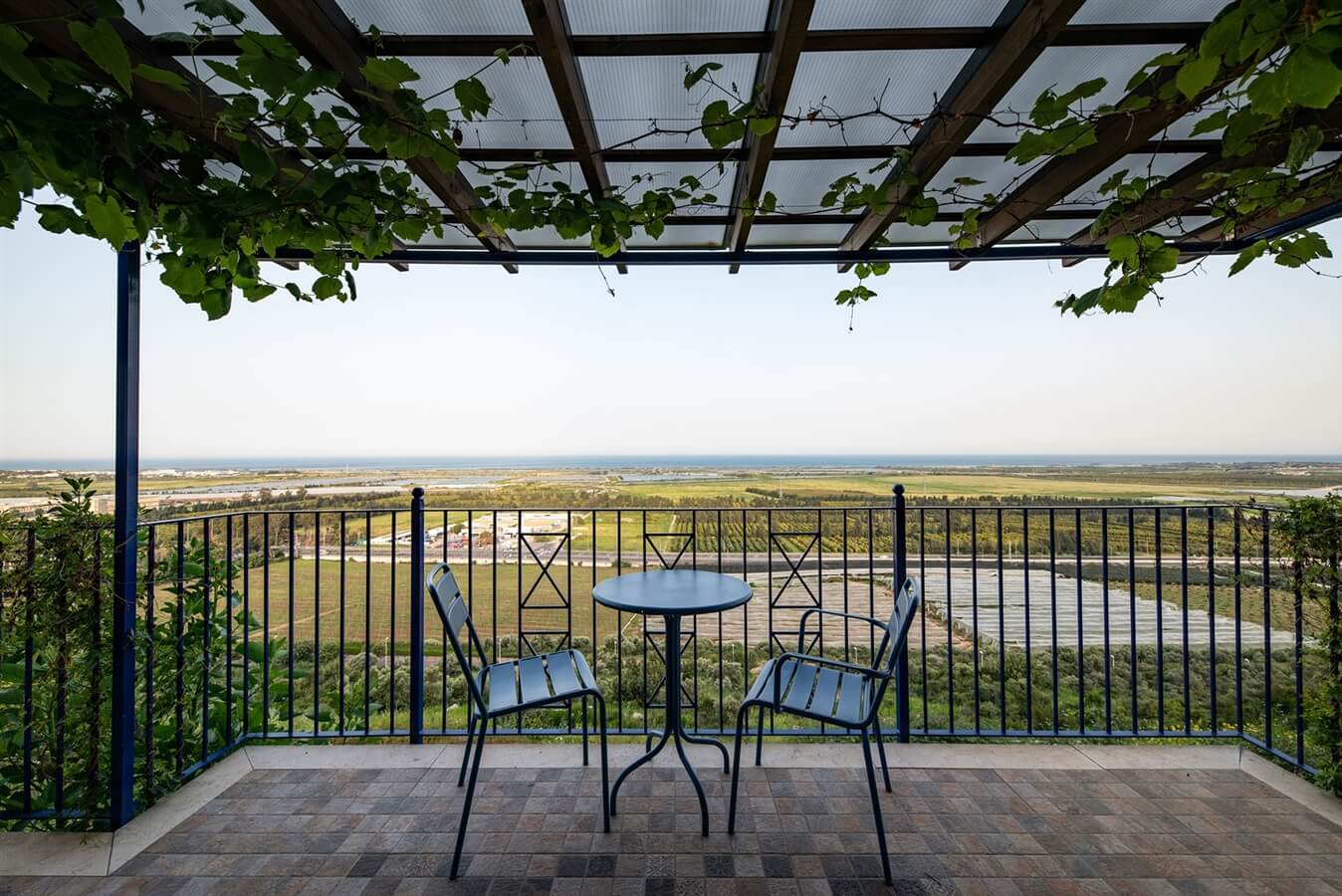 תמונה של סוויטת גפן - 3 תמונה של סוויטת גפן - 3