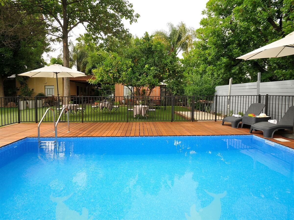 תמונה שצולמה באהבה ולימונים - 1 תמונה של אהבה ולימונים - 1