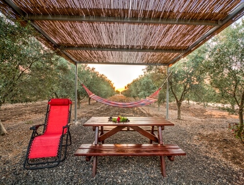 תמונה של הצימר - 6