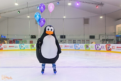 תמונה של החלקה על הקרח תמונה של החלקה על הקרח