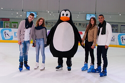 תמונה של החלקה על הקרח תמונה של החלקה על הקרח