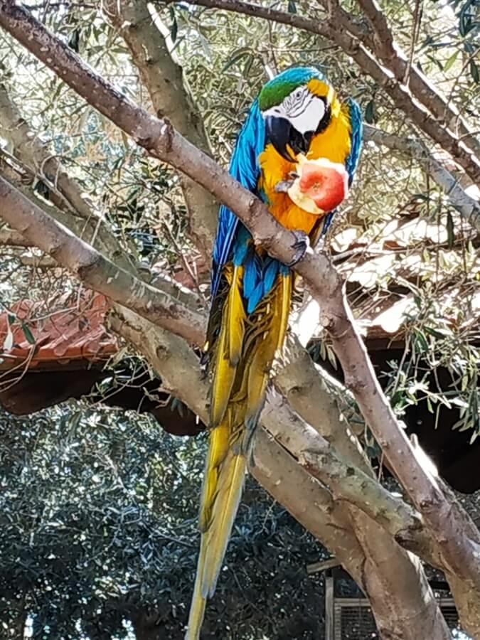 תמונה של אוהל דום - 13