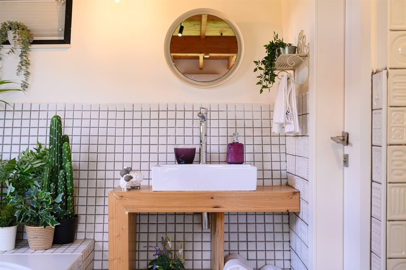 תמונה של סוויטת אלמוג - 8