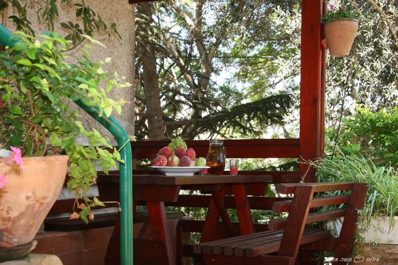 תמונה של דירות האירוח - 8