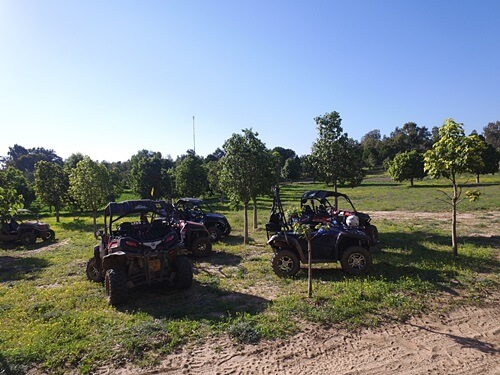 תמונה של טיולי טרקטורונים