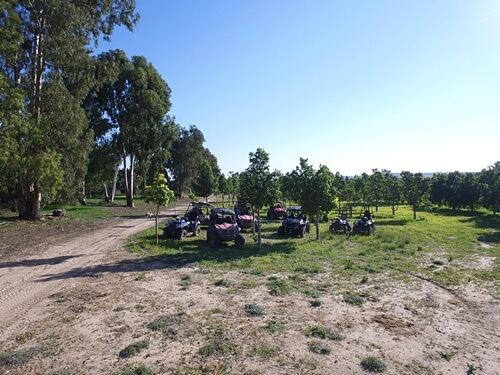 תמונה של טיולי טרקטורונים