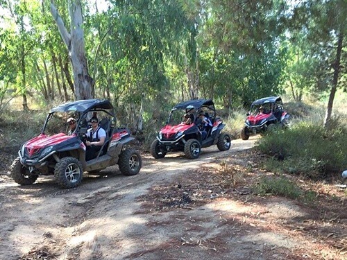 תמונה של טיולי טרקטורונים תמונה של טיולי טרקטורונים