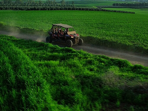 תמונה של טיולי רייזרים